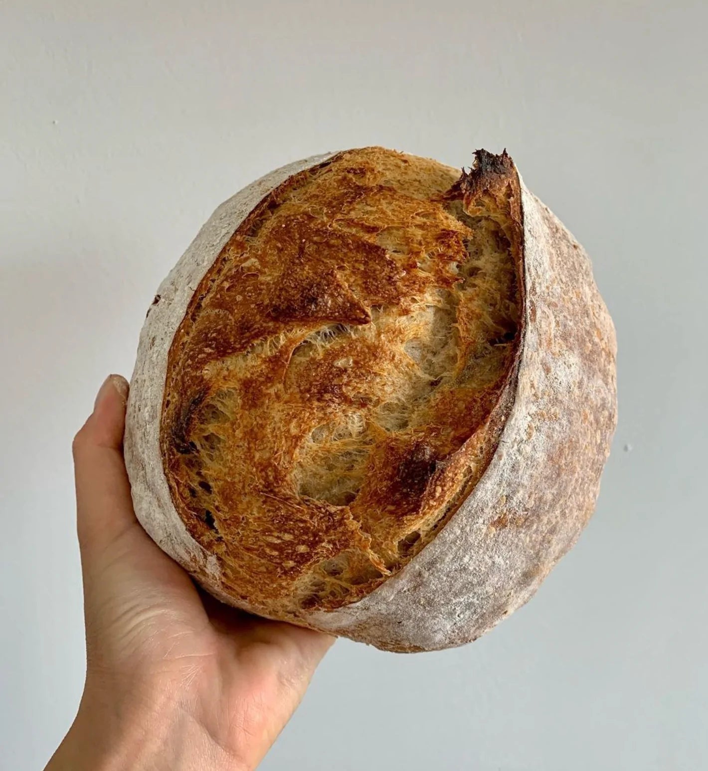 Classic Sourdough